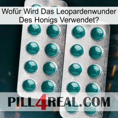 Wofür Wird Das Leopardenwunder Des Honigs Verwendete dapoxetine2
